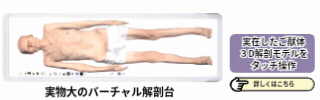 Anatomage Japan株式会社